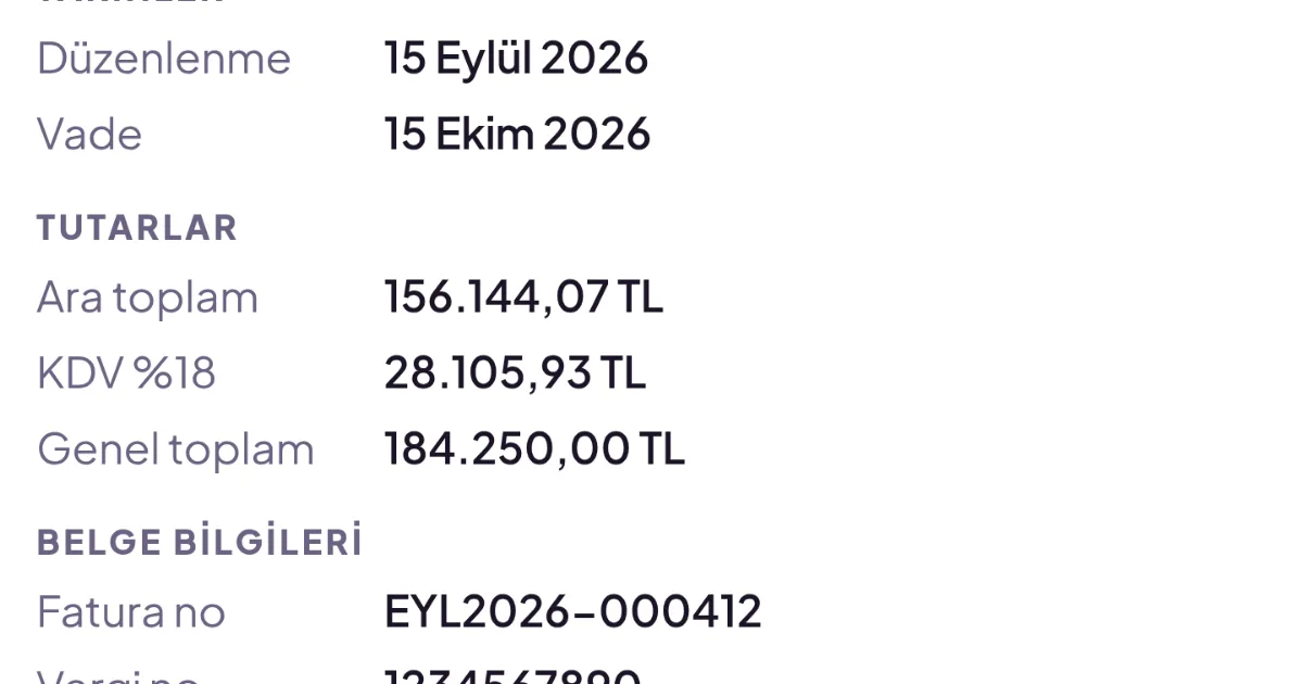 Dates, amounts and document fields extracted from an invoice attachment without downloading