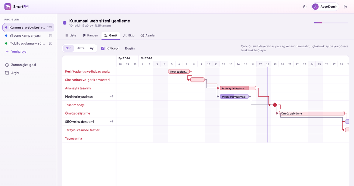 SmartPM Gantt chart showing tasks, the dependencies between them and the critical path